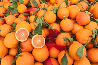  granita orangen typisch tradition sizilien ferien essen trinken guide