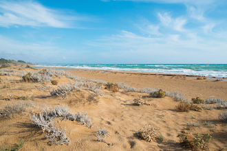 sizilien ferien information südwestsizilien selinunt meer strand dünen belice